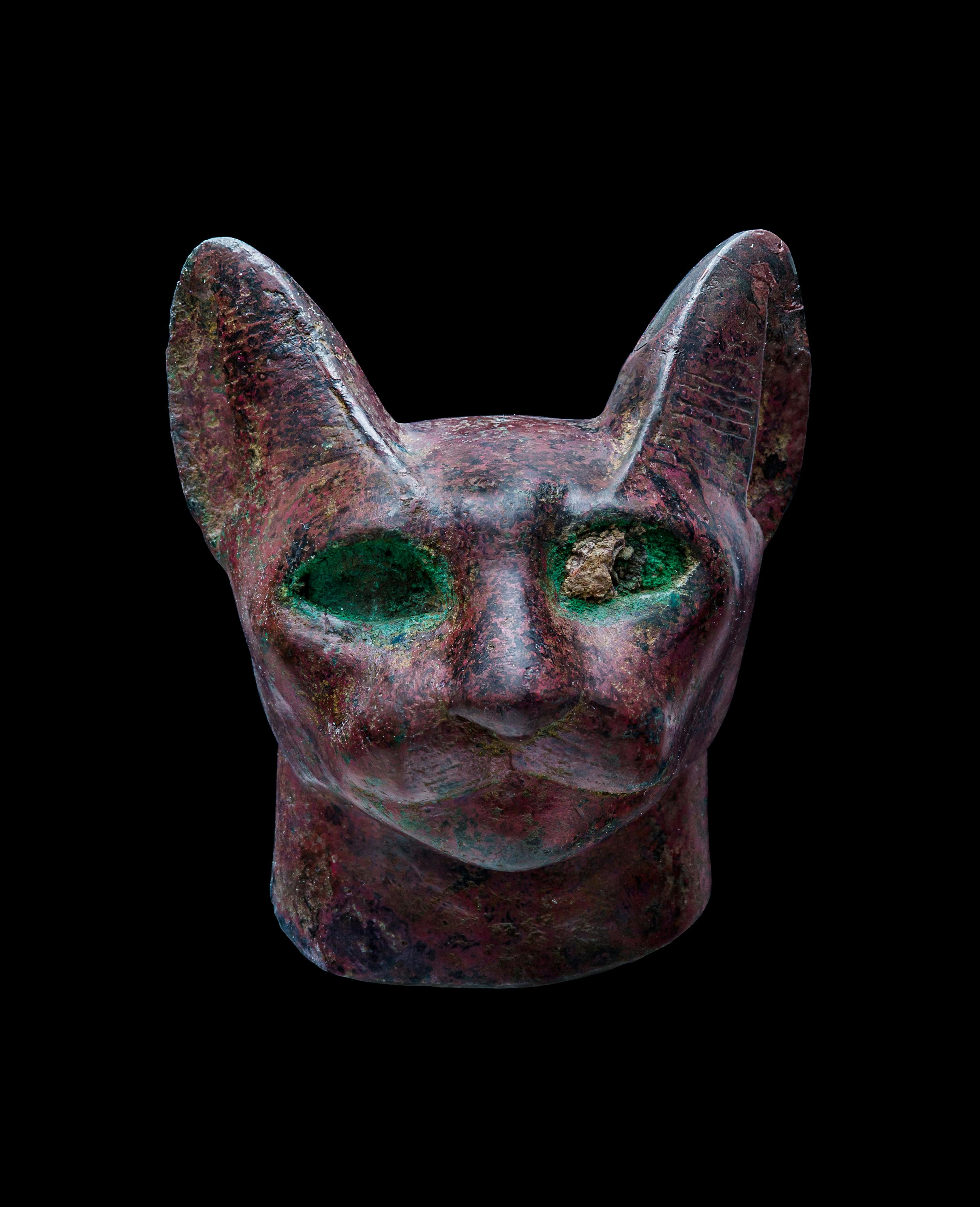 Realistischer Katzenkopf