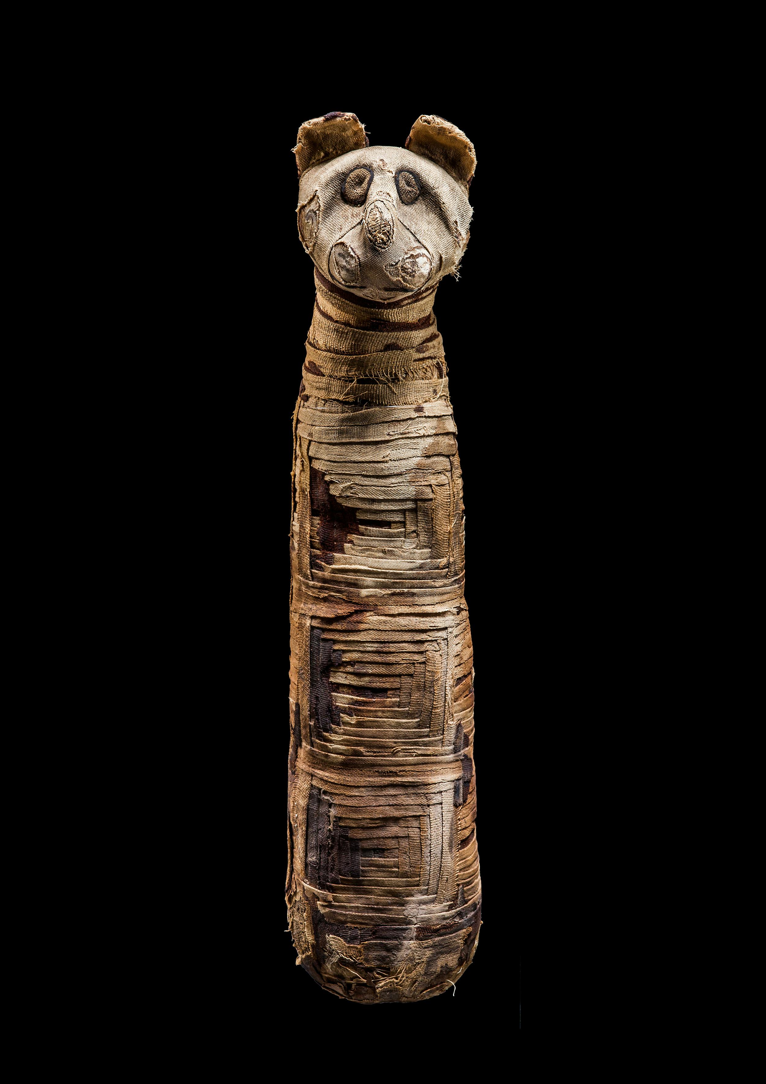 bfa01d1f-e939-0b3c-91d957e423246f2f