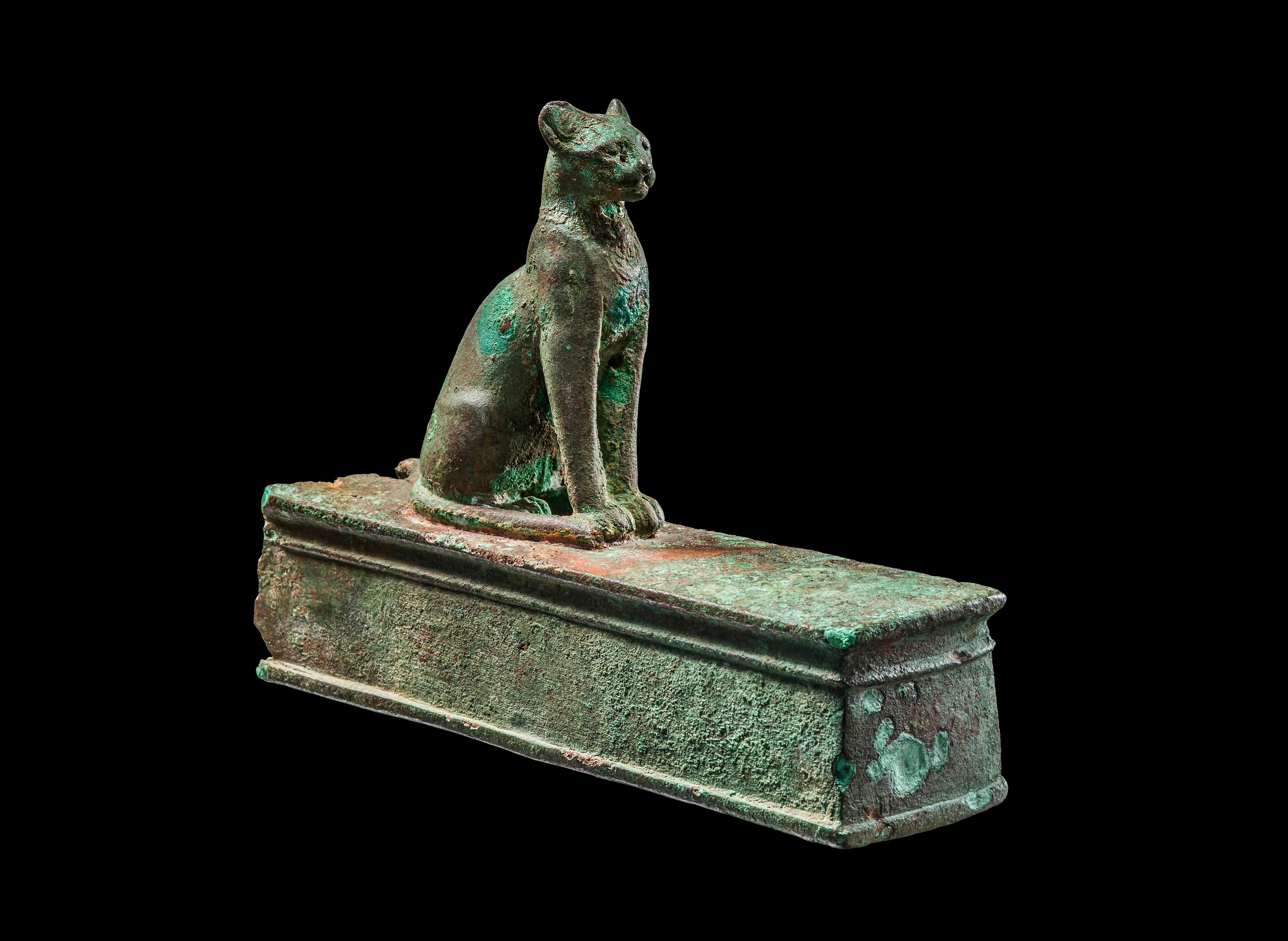 Katzensarg mit sitzender Katze