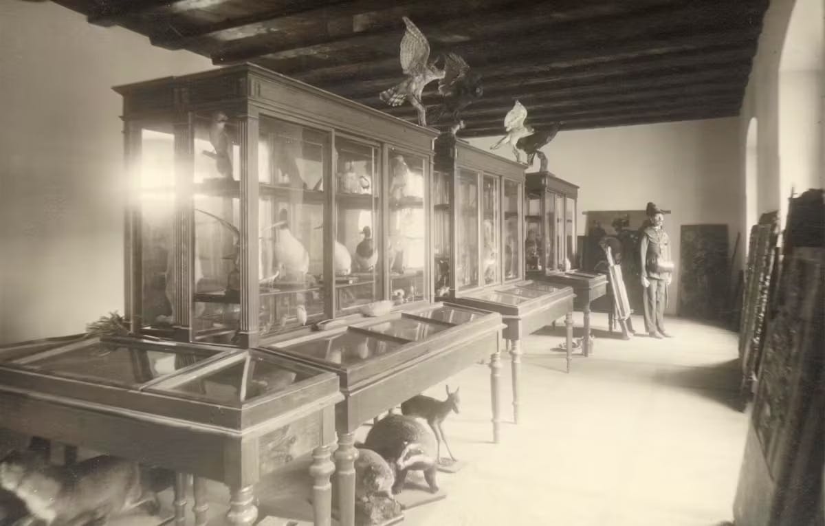 56cbea0c 0300 e48a 0d07c8533fd680e6