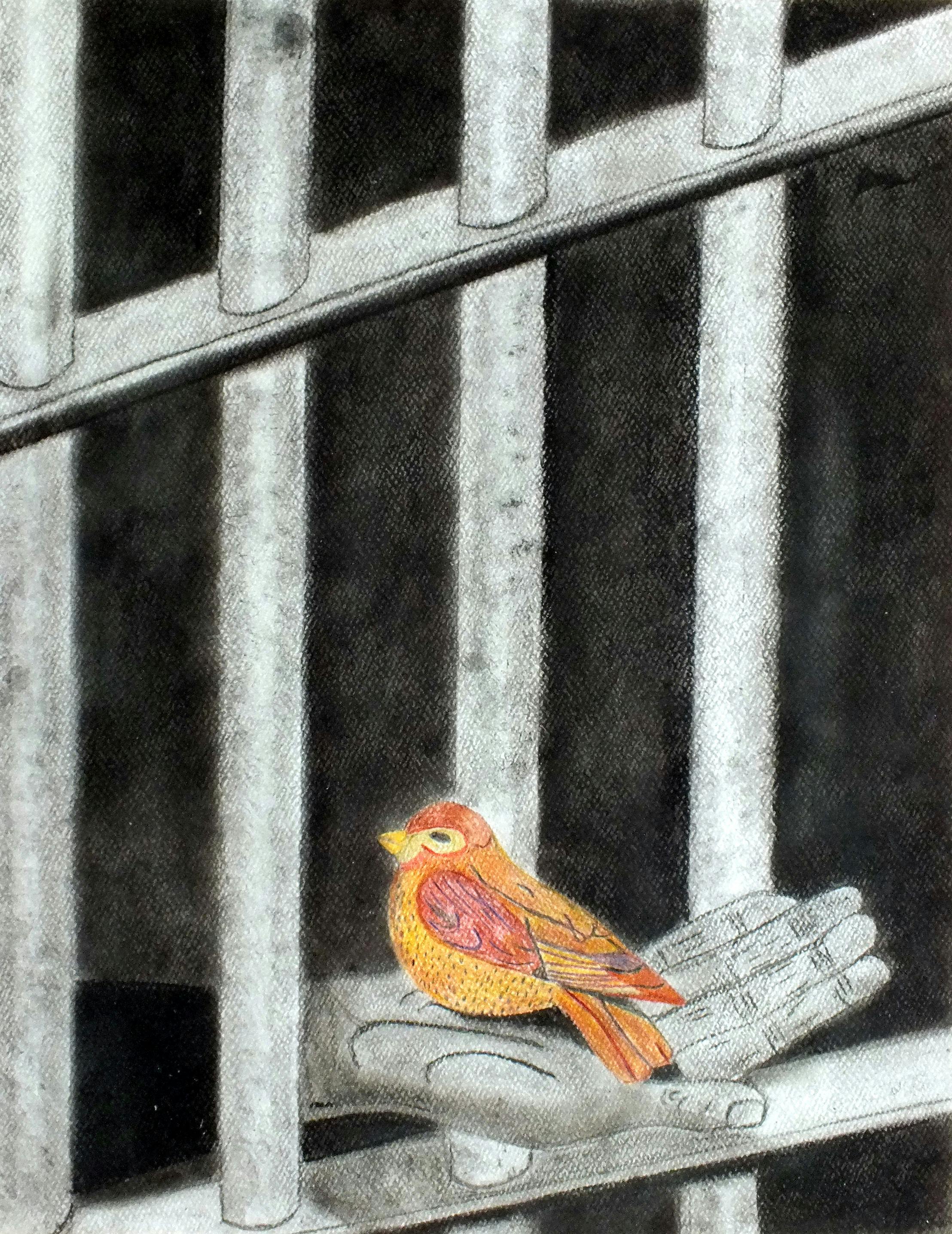 Andreas – ZYPERN, THE COLOUR OF FREEDOM