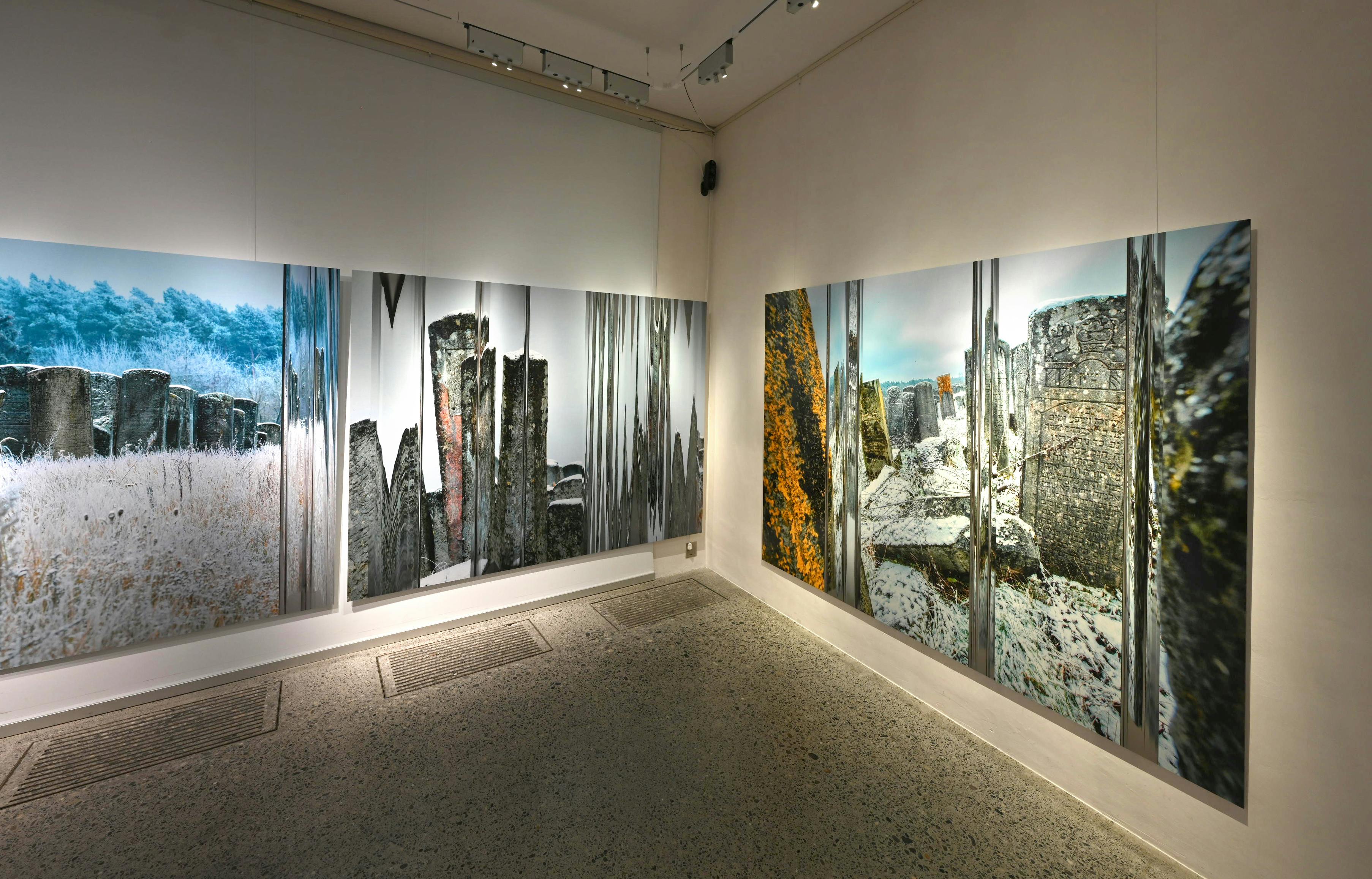 Distanz Ausstellung 5