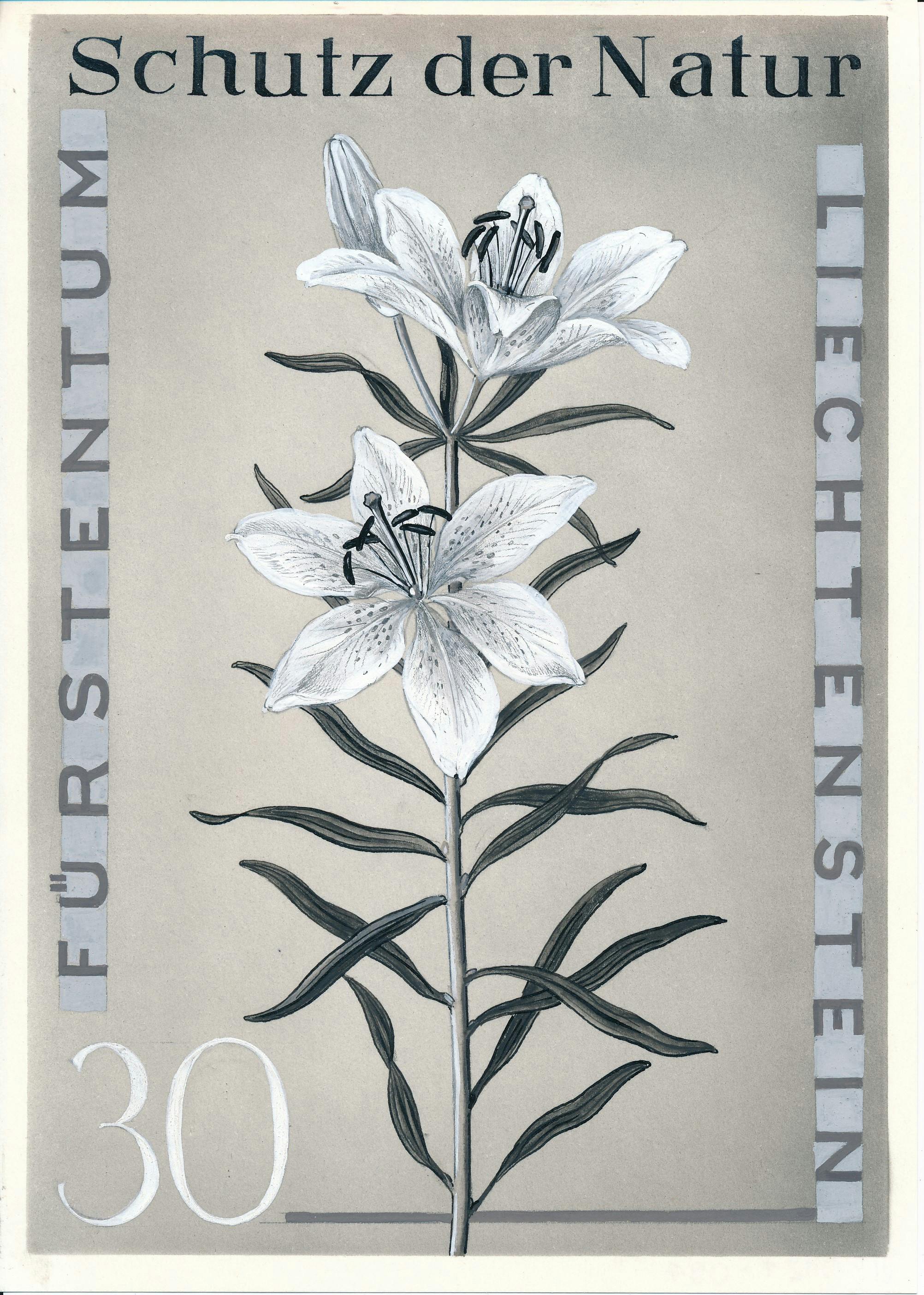 «Schutz der Natur»