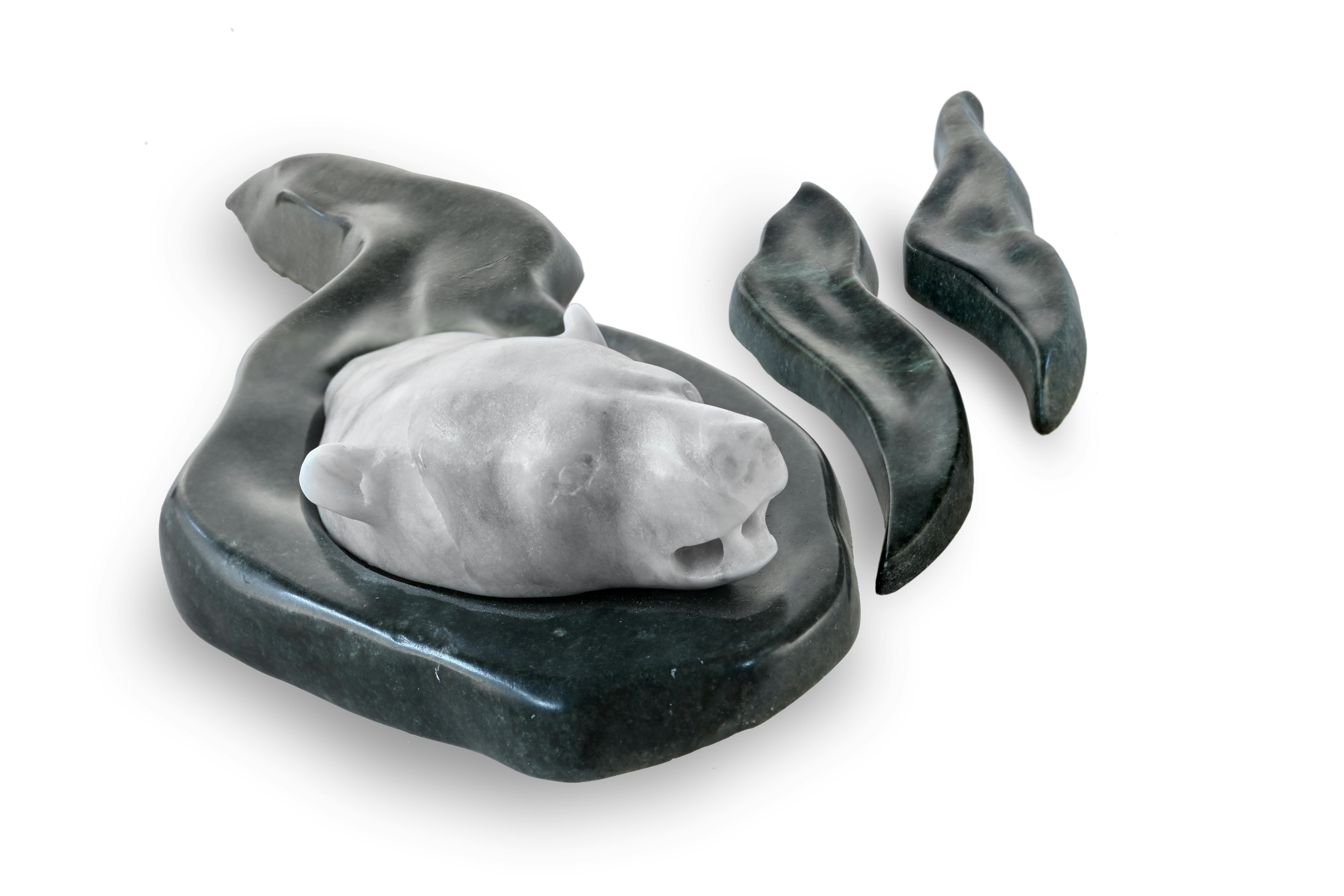 Eisbär in einer Öllache / Polar Bear in an Oil Spill / Ours polaire dans une marée noire