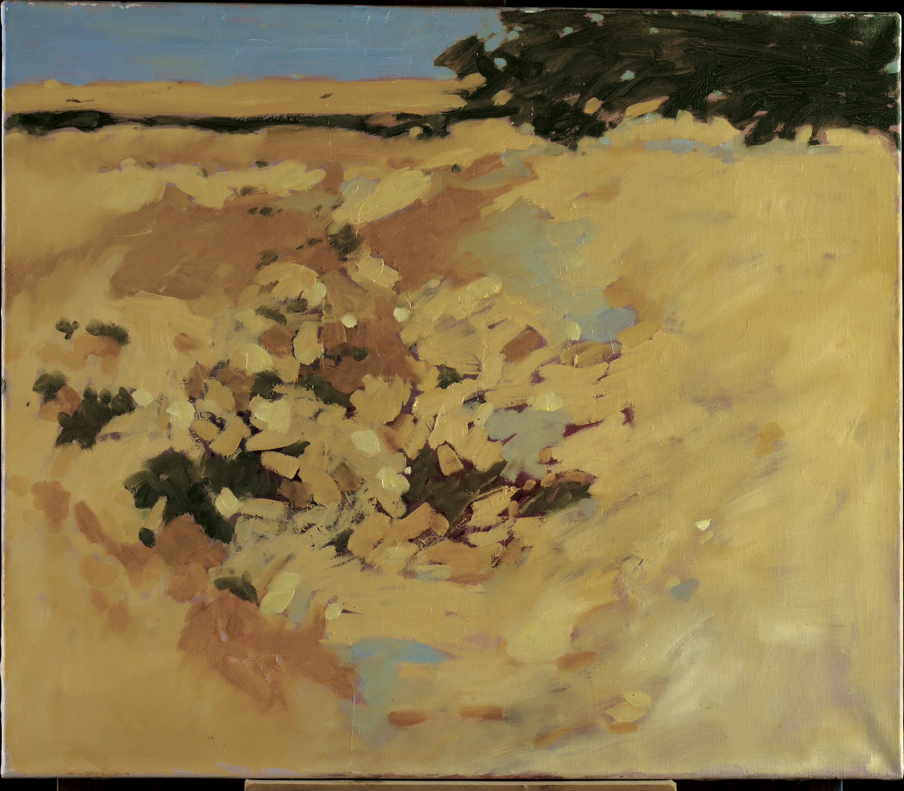 Riffa Wadi, 1983, Oil on canvas, 61 x 71 cm, copy