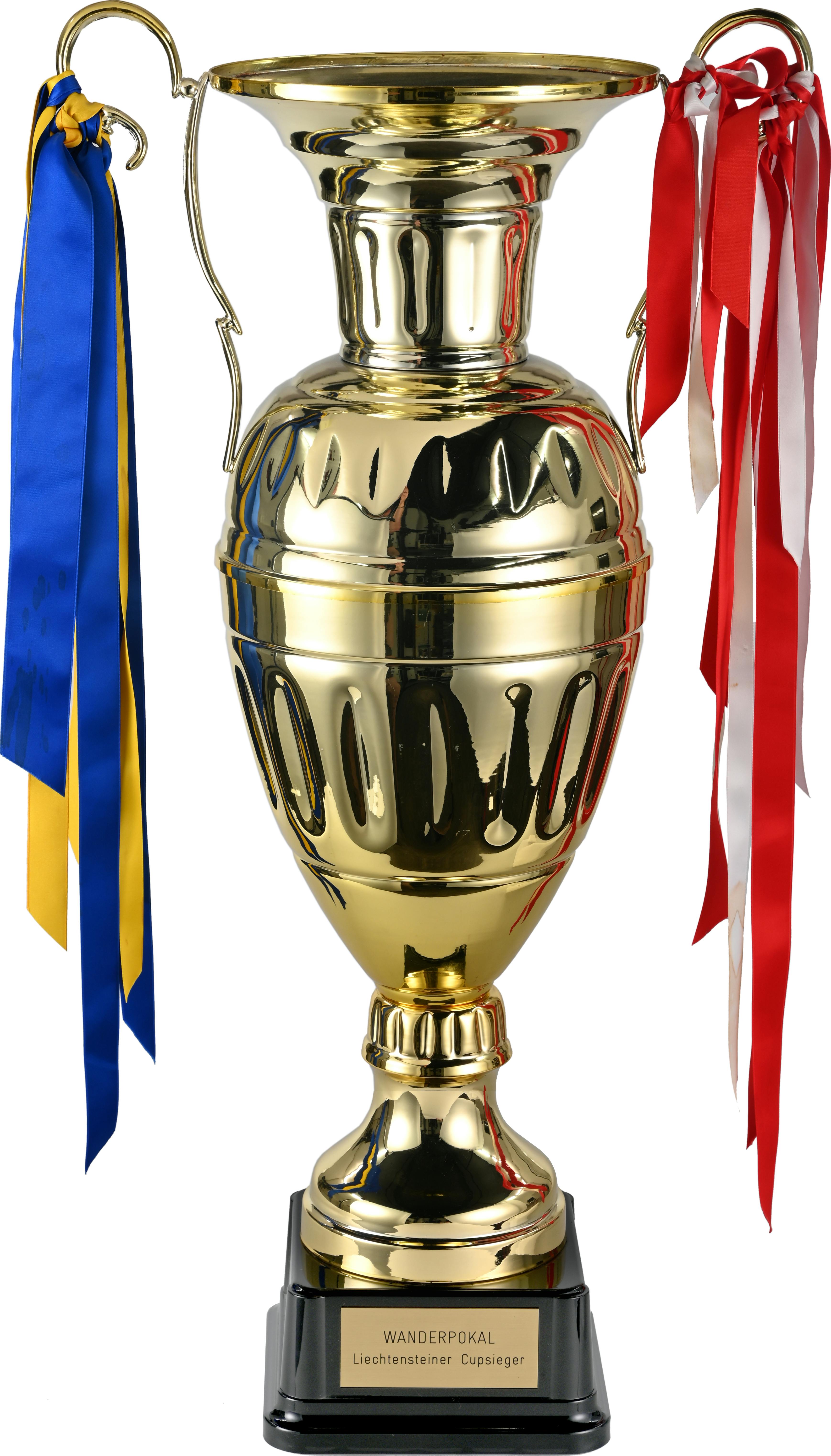 fussball-die-leidenschaft-f-r-die-weltmeisterschaft