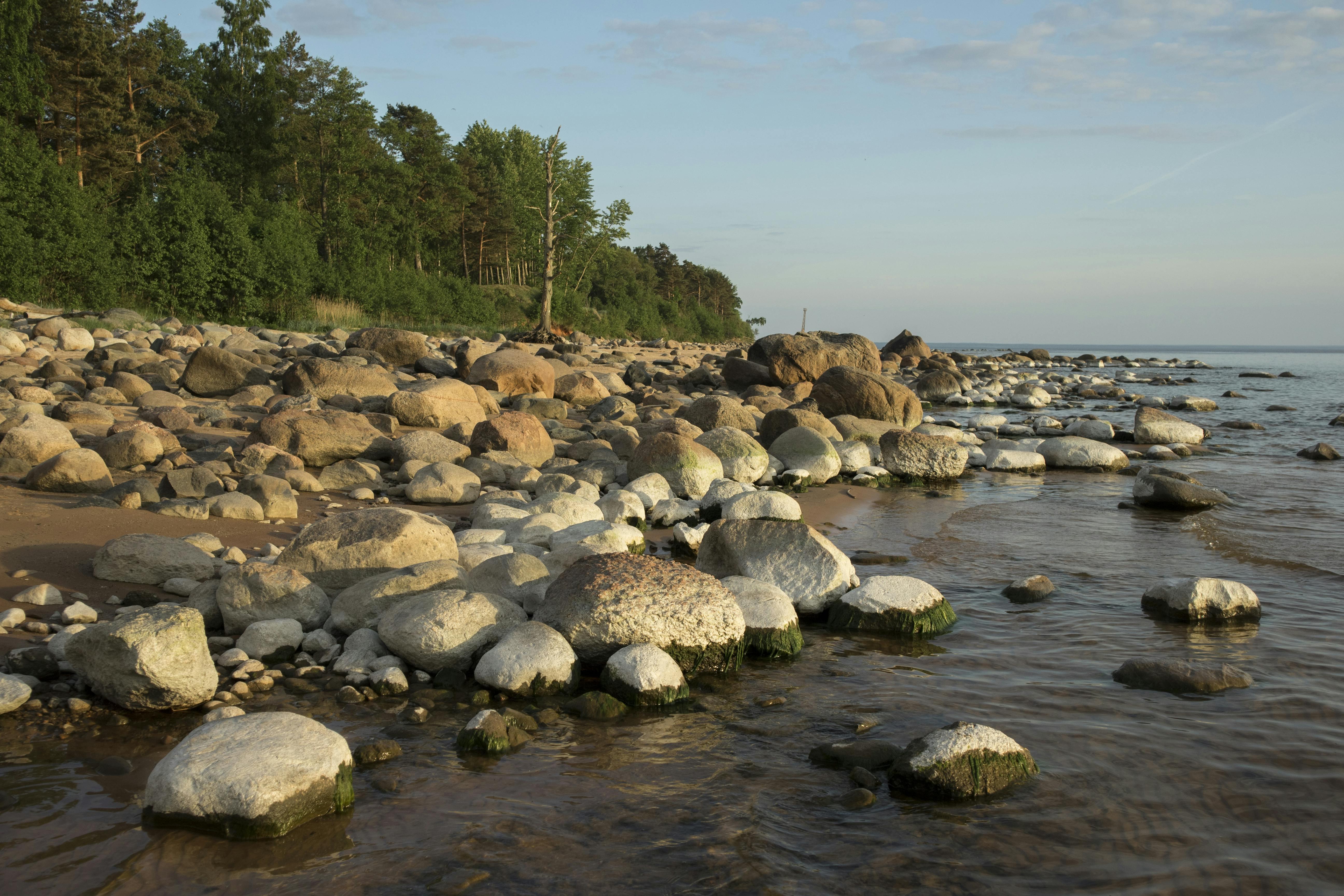 Baltic Coast