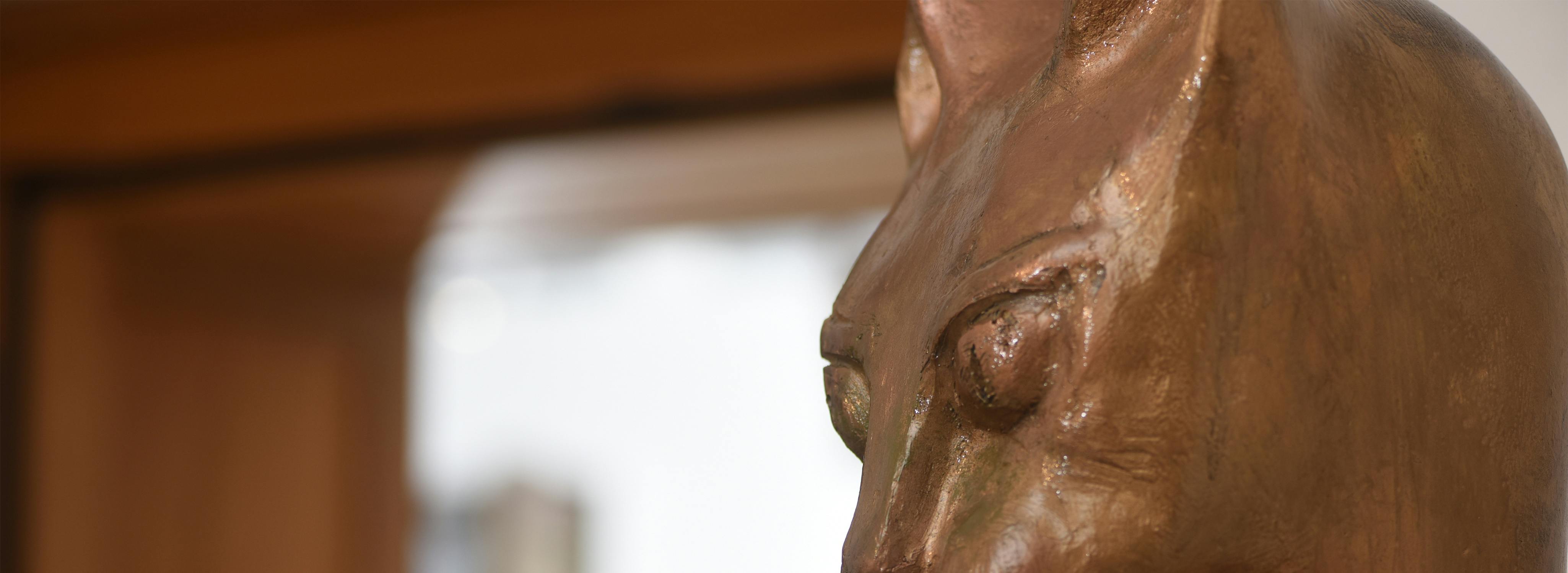 Pari Ravan Hintergrundbild