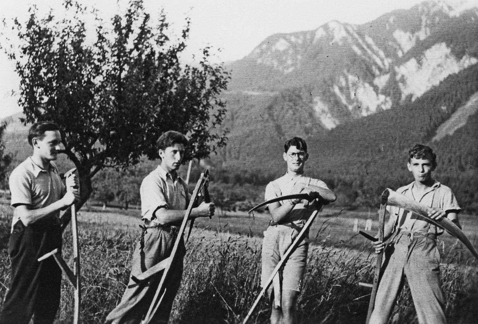 Landdienst: Junge Männer beim Mähen, v.l. Jakob Wachter, Hans Walser, Hugo Gassner, Anton Wachter