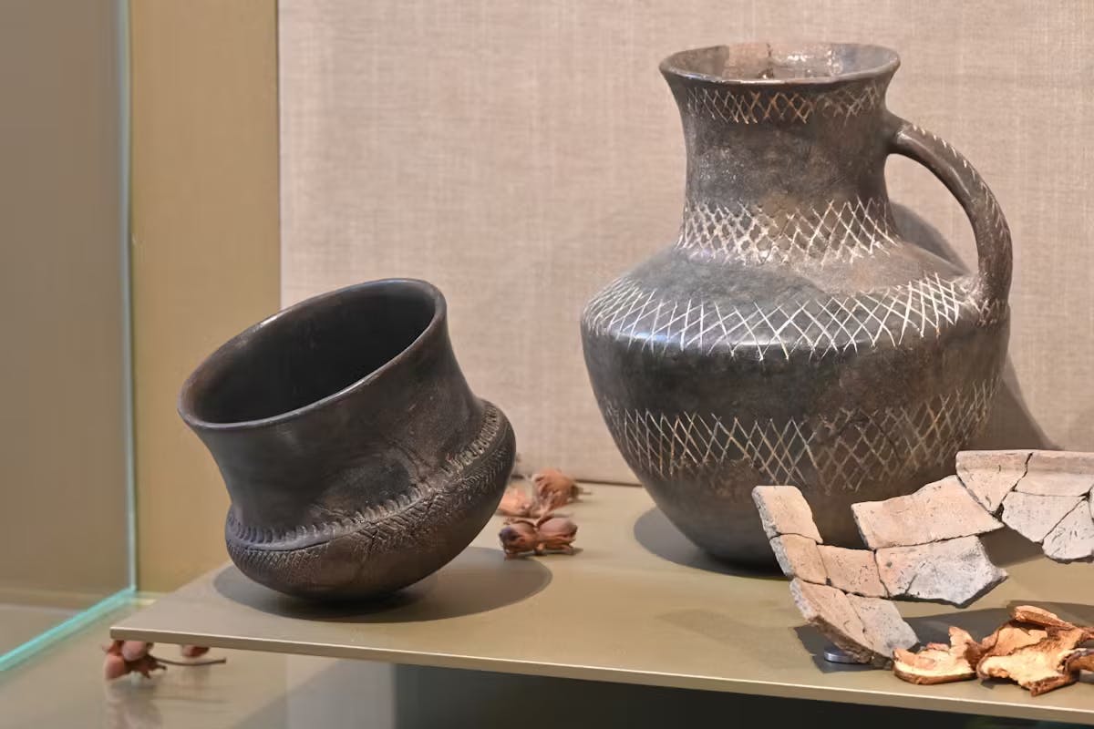 51fb88f0 cfd9 0ab9 48174f619e90fae4