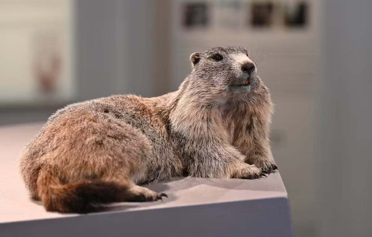 5430c0ec a291 ffce 2c771880287dbc53