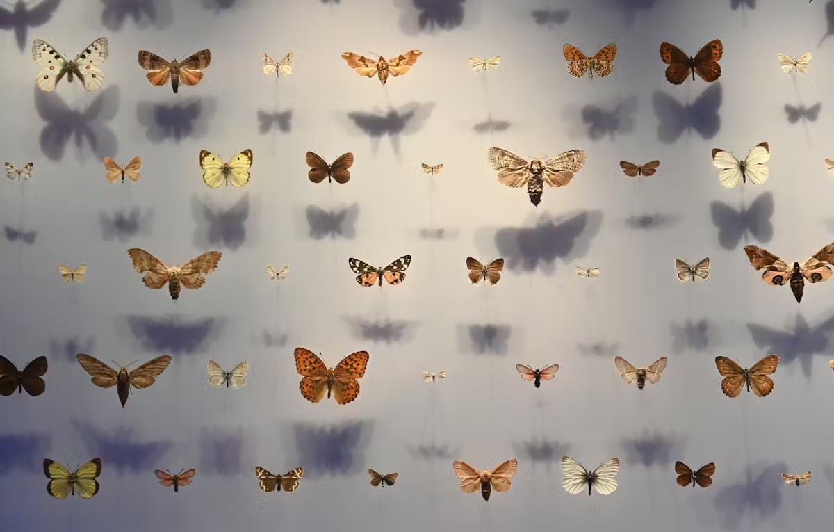 543393f5 99e3 e9f4 bd2ab3a1e90f3b7b