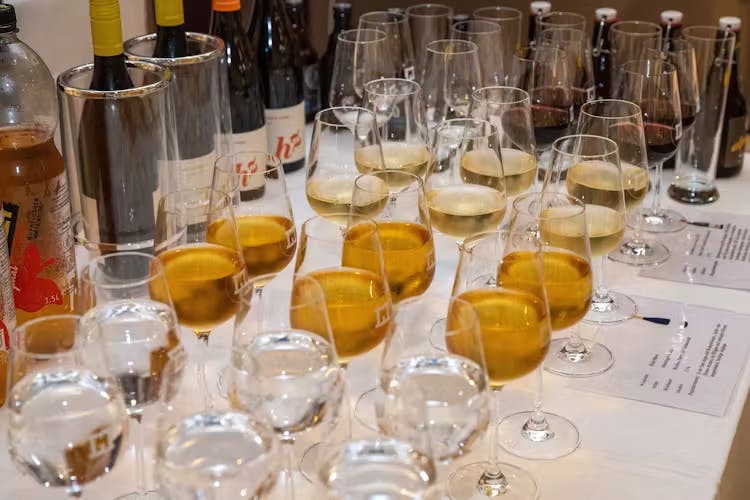 779f61f1 d441 c7d3 023f63fa783390c4