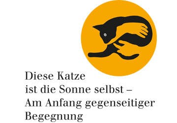 Diese Katze ist die Sonne selbst crop