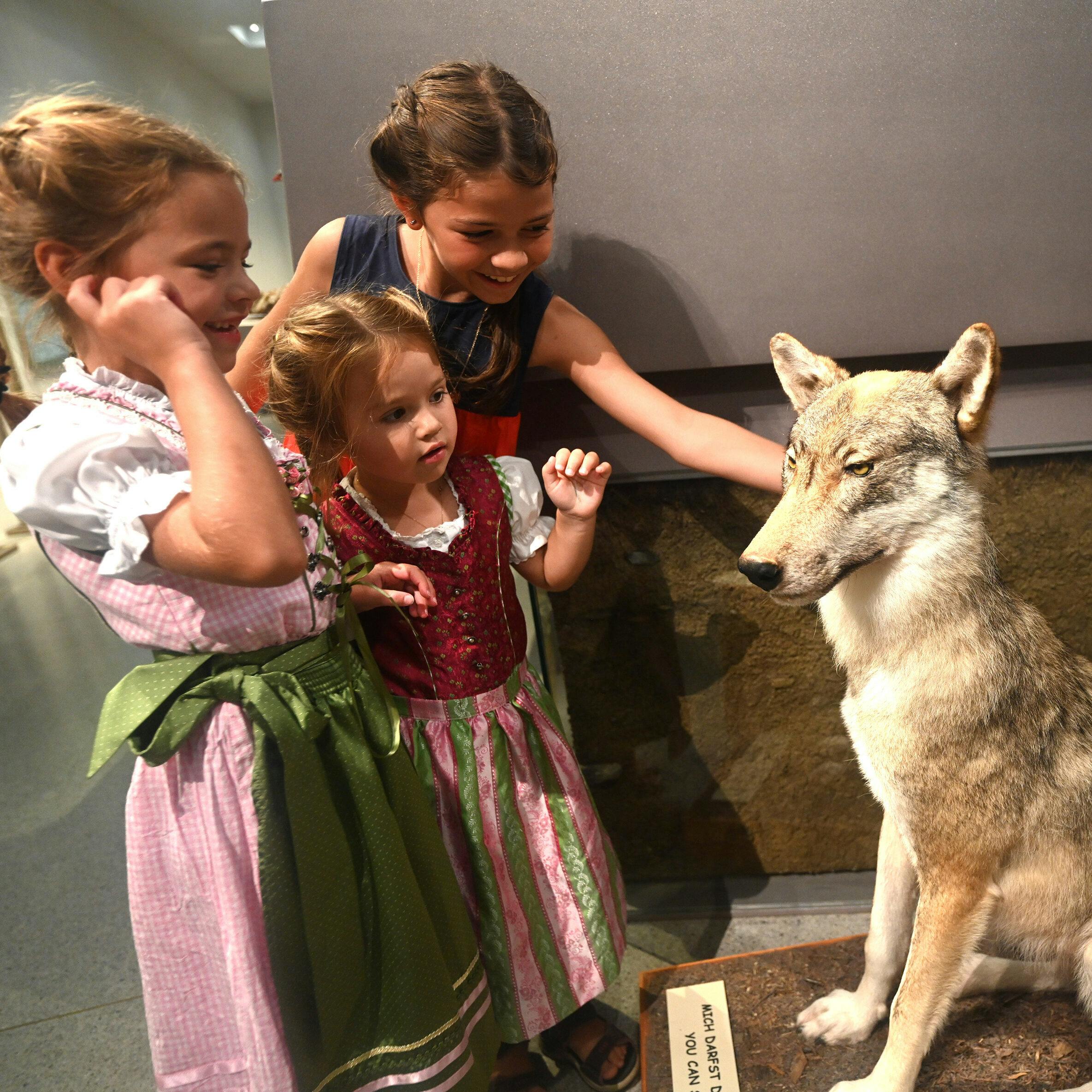 Kinder streicheln den Wolf