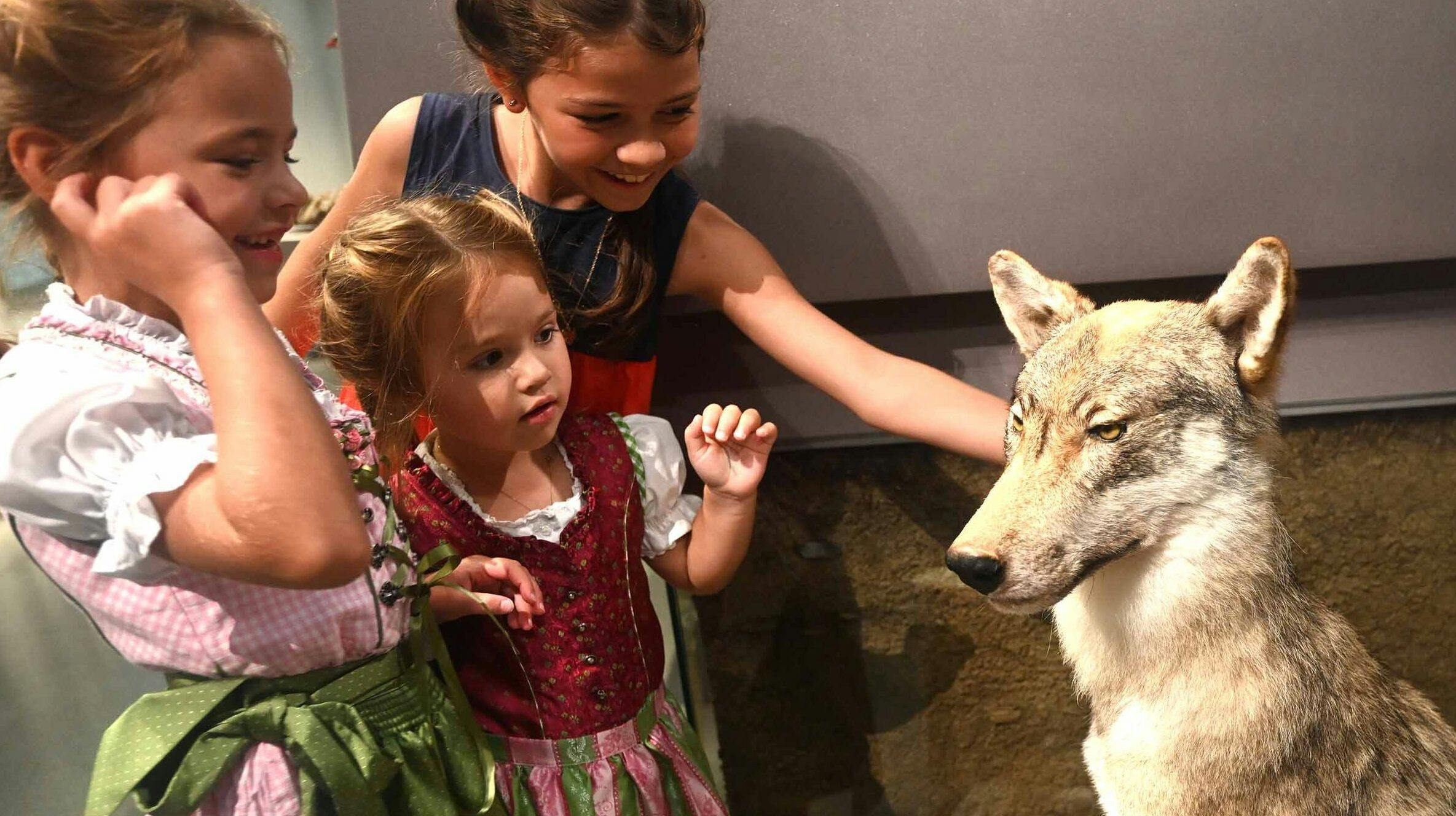 Kinder streicheln den Wolf