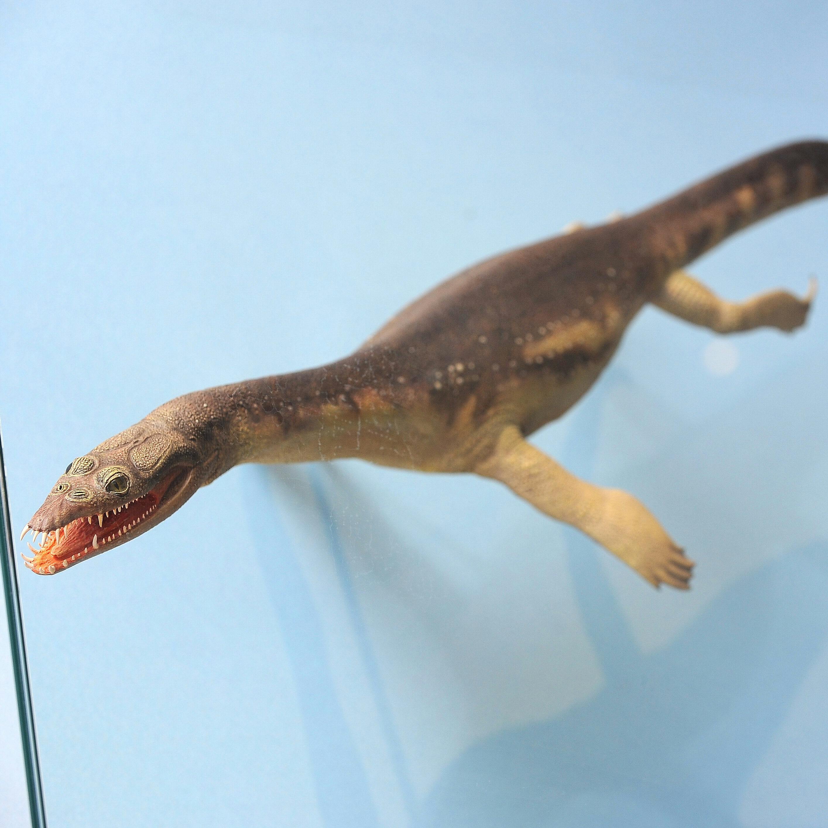 Schleich